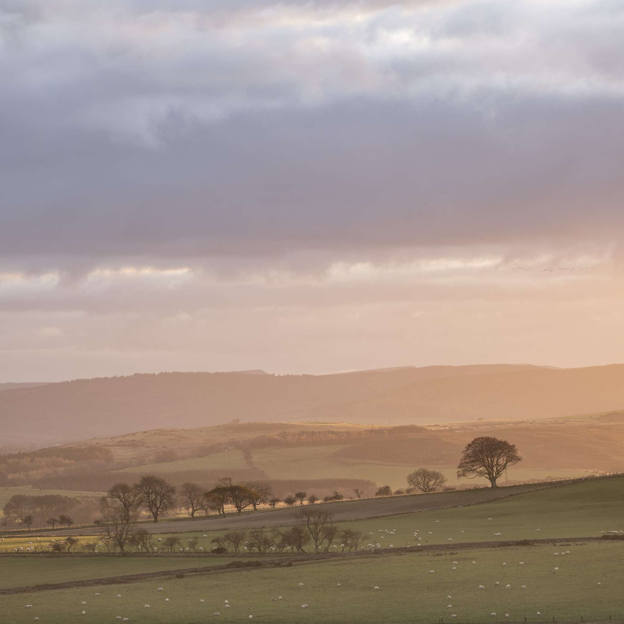 Photograohy Workshop - Northumberland Misty Sunset Mark Lawrence aspect2i